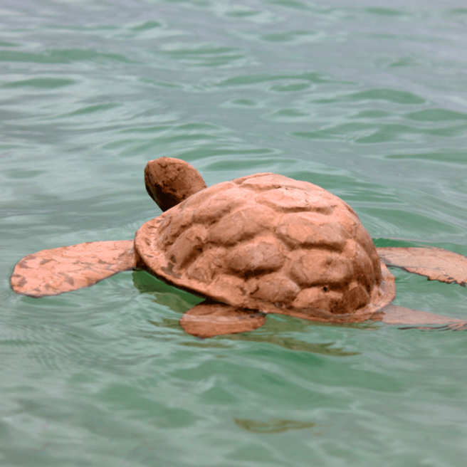 Biodegradable Sea Turtle Urn