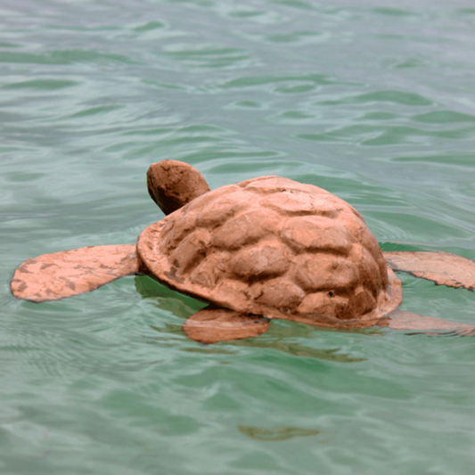 Biodegradable Sea Turtle Urn