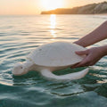 Biodegradable Sea Turtle Urn
