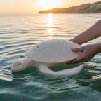 Biodegradable Sea Turtle Urn
