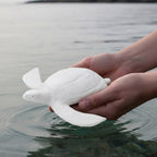 Biodegradable Sea Turtle Urn
